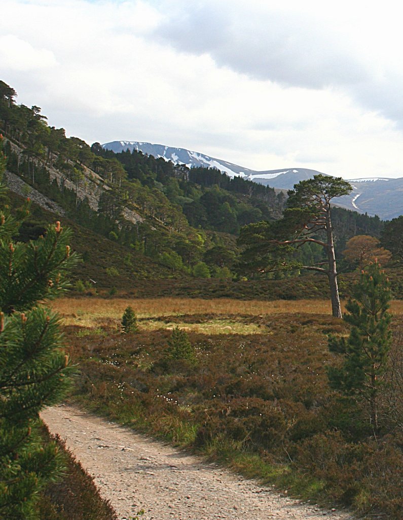 Cairngorms path network