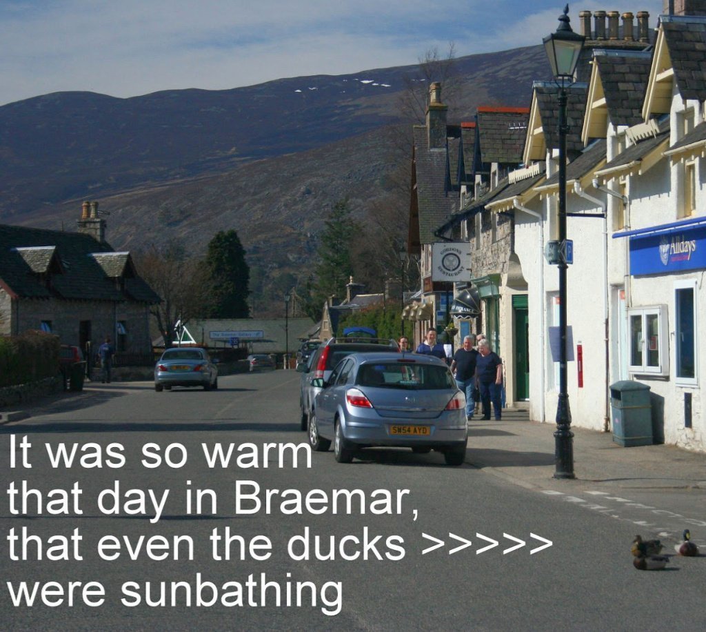 So warm in Braemar, the ducks were sunbathing