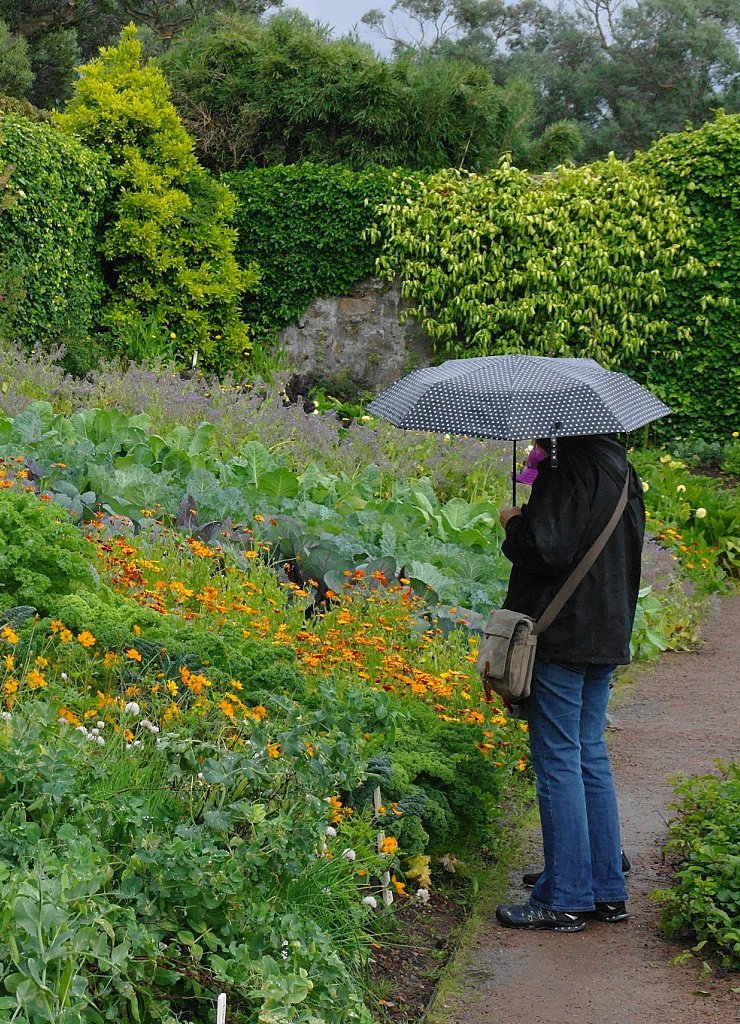 Inverewe Gardens in the rain