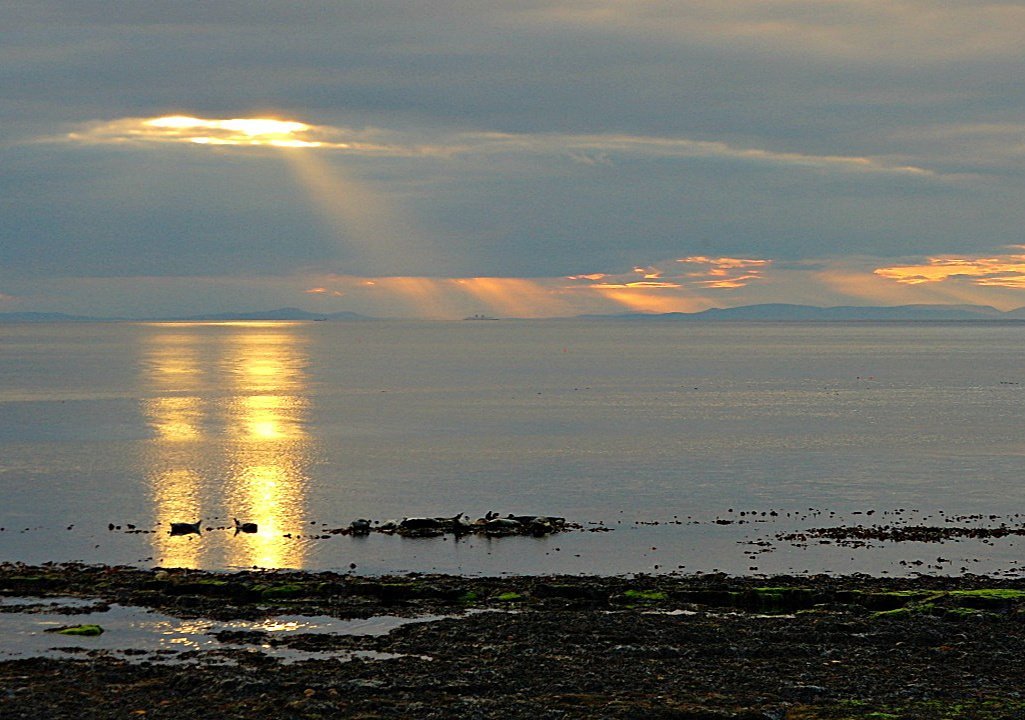 Moray Firth sunset with seals