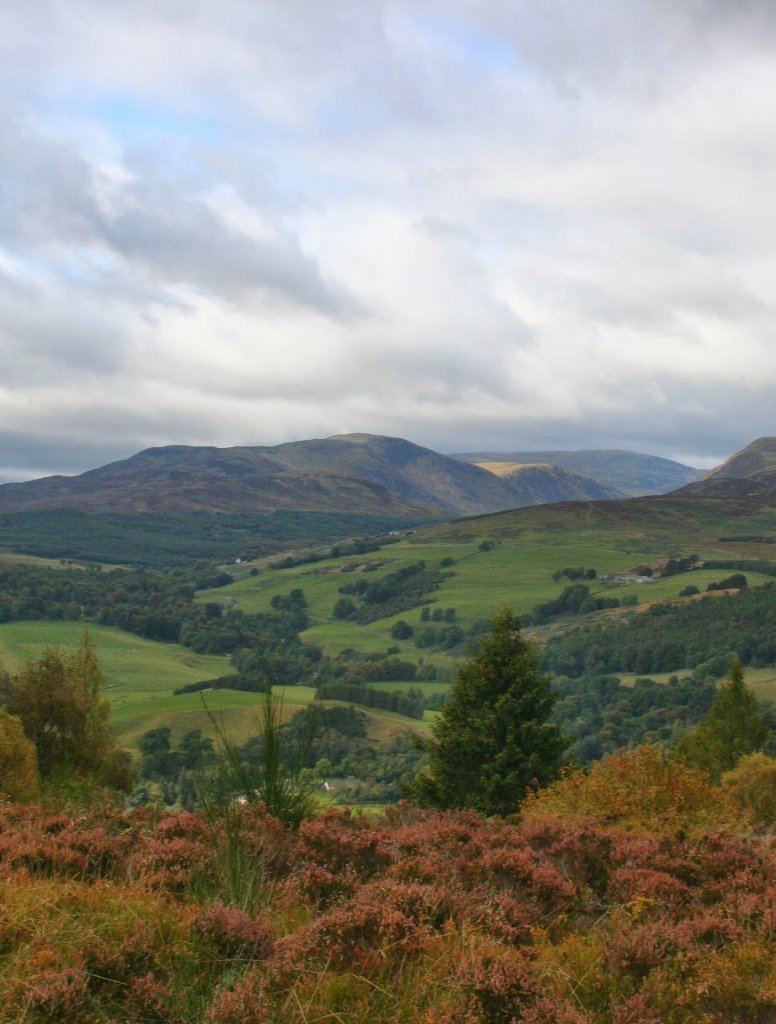 Looking north from Crieff's Knock Hill