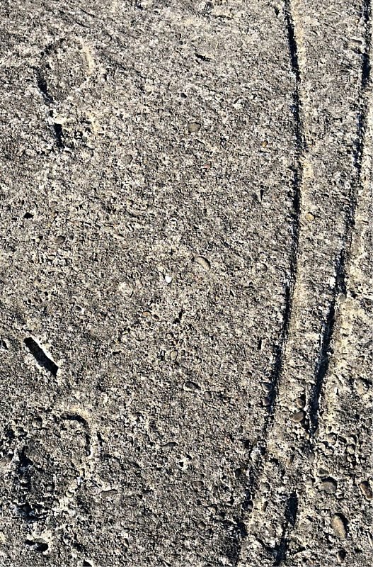 RAF Dallachy footprints in concrete RAF Dallachy footprints in concrete