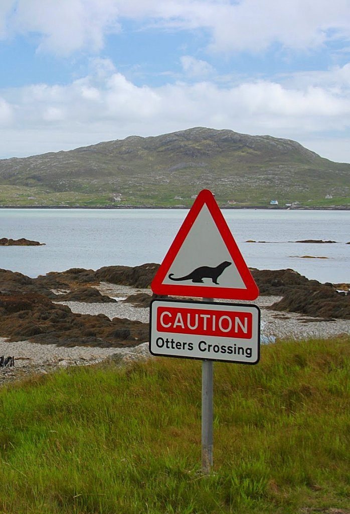 Beware of otters crossing Beware of otters crossing