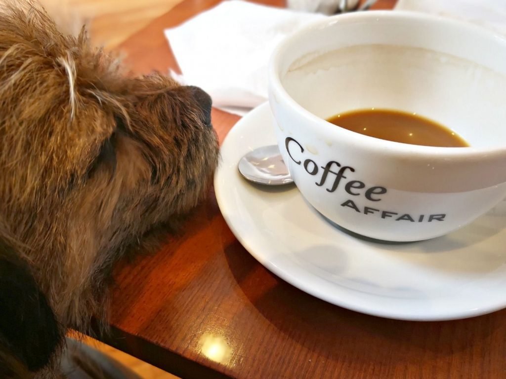 Coffee Affair Inverness Coffee Affair Inverness