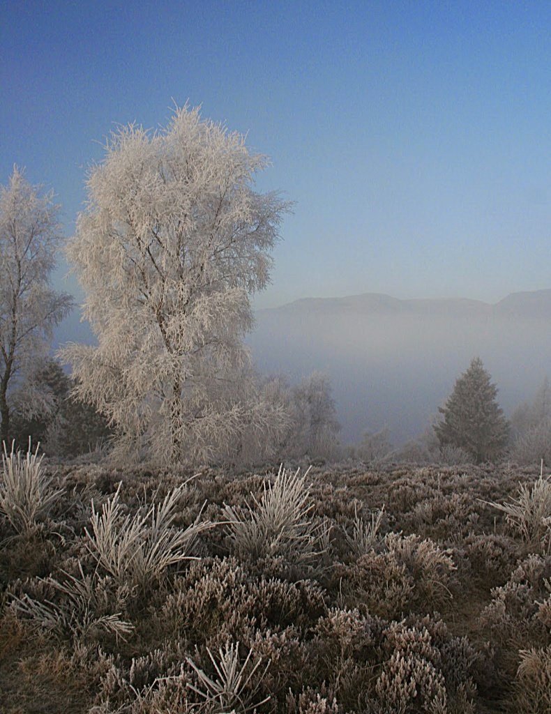 Knock Hill, Crieff, deep winter Knock Hill, Crieff, deep winter