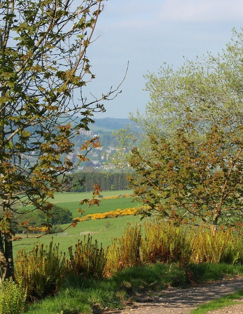 Springtime near Crieff Springtime near Crieff