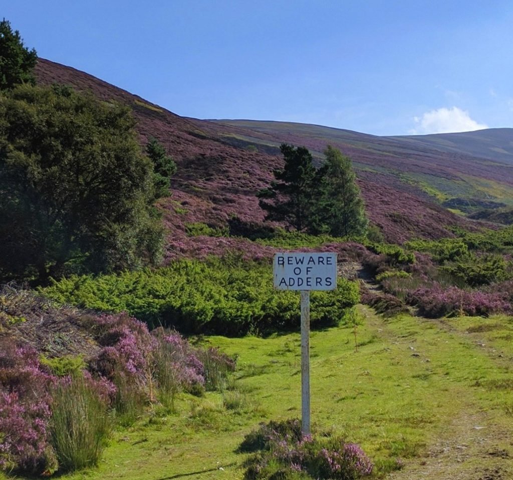 Keep off the moors. Toffs at play Keep off the moors. Toffs at play