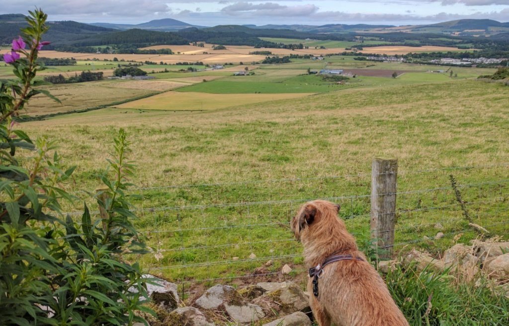 Farmlands around Huntly, Aberdeenshire Farmlands around Huntly, Aberdeenshire