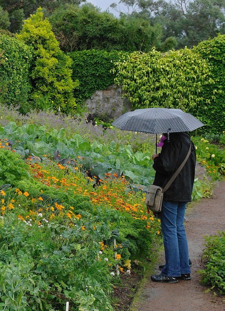Inverewe Gardens in the rain Inverewe Gardens in the rain