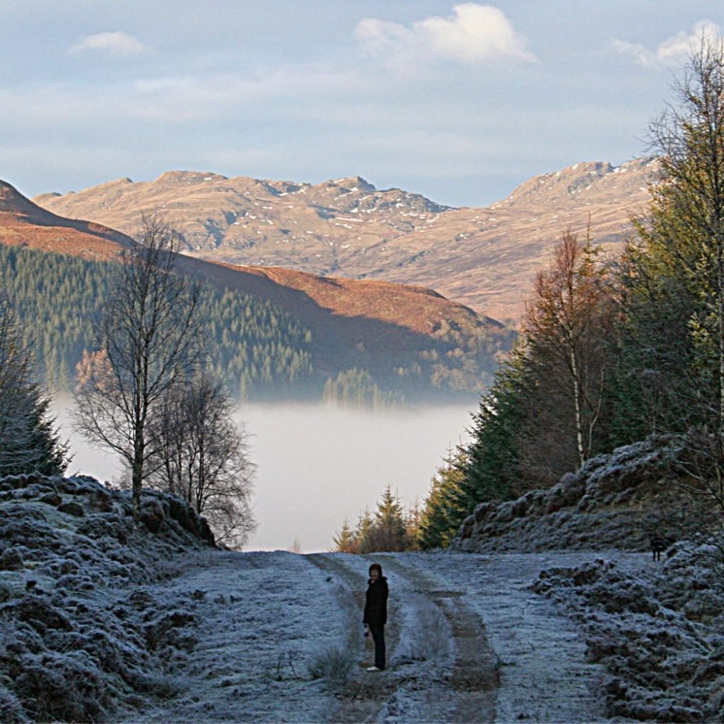 Near Killin, January Near Killin, January