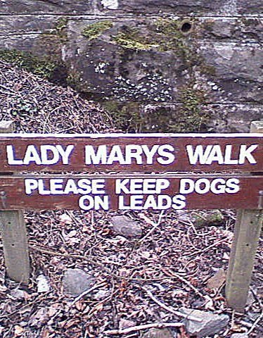 Lady Mary needs an apostrophe Lady Mary needs an apostrophe