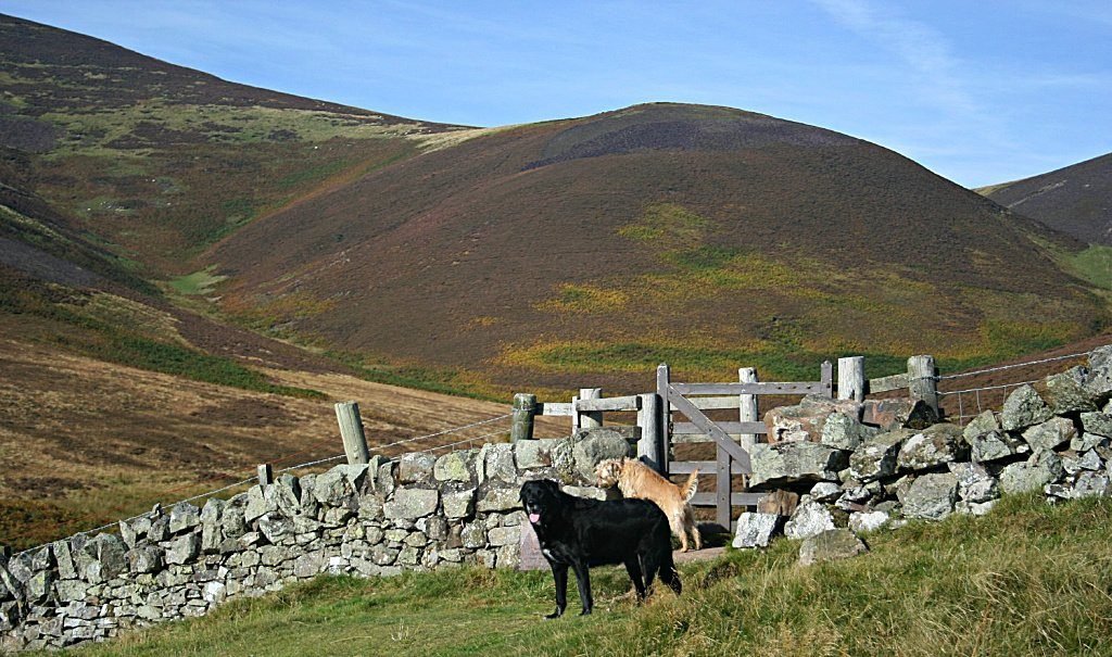 Into the Pentlands... Into the Pentlands...