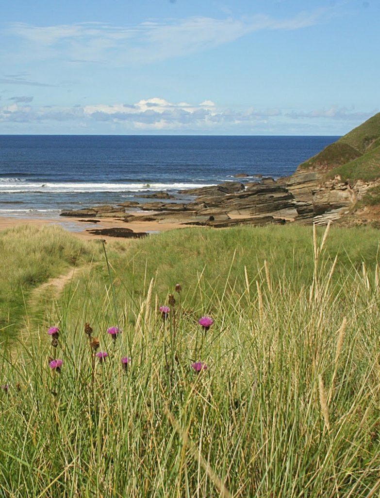 Strathy Beach Strathy Beach