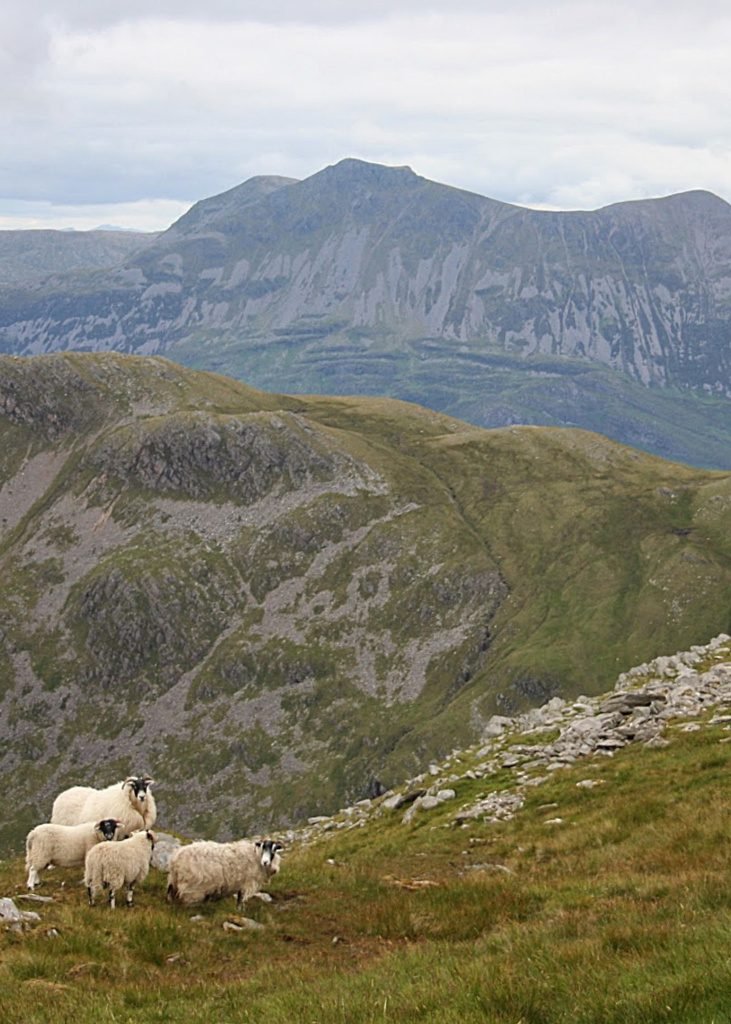 The wild mountains of Knoydart Beinn Sgritheall from the slopes of Ladhar Bheinn