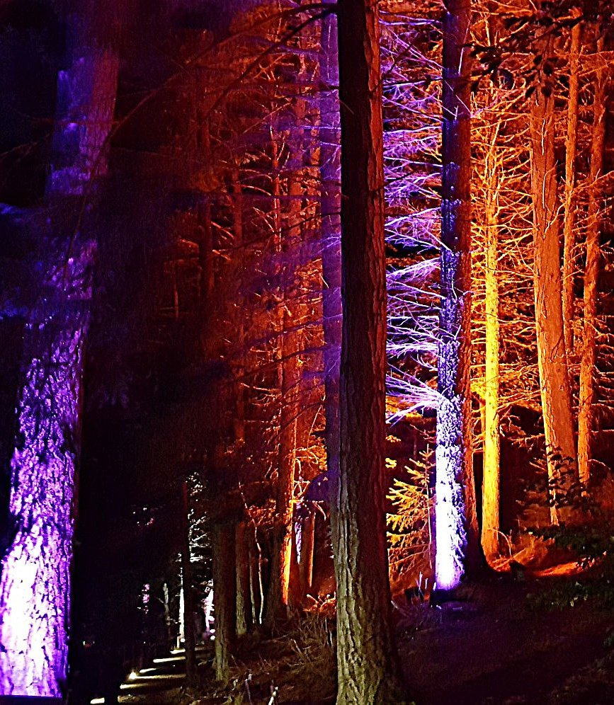 enchanted forest pitlochry autumn 2