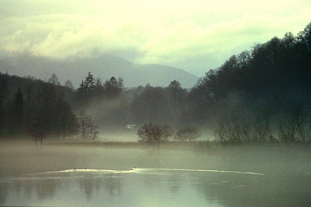 Loch Ard in winter